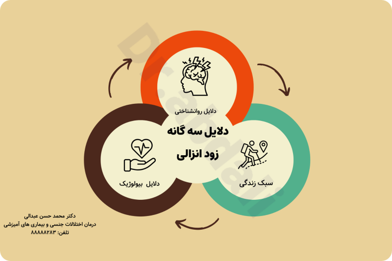 اینفوگرافی دلایل زود انزالی مردان
