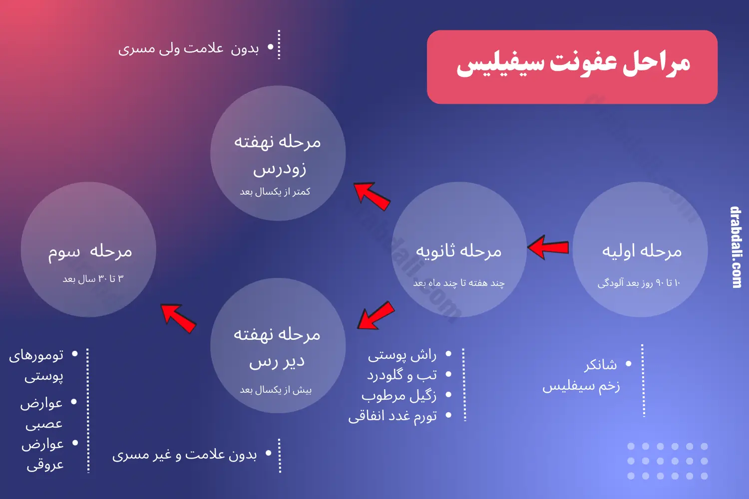 اینفوگرافی مراحل سیفیلیس